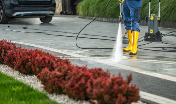 Best Patio and Deck Pressure Washing  in Lwa, CA